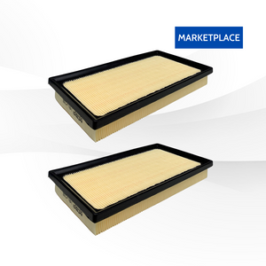WX-10 Marketplace Toyota Engine Air Filter [1780177050]