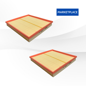 WX-38 Marketplace BMW Engine Air Filter [13717571355]